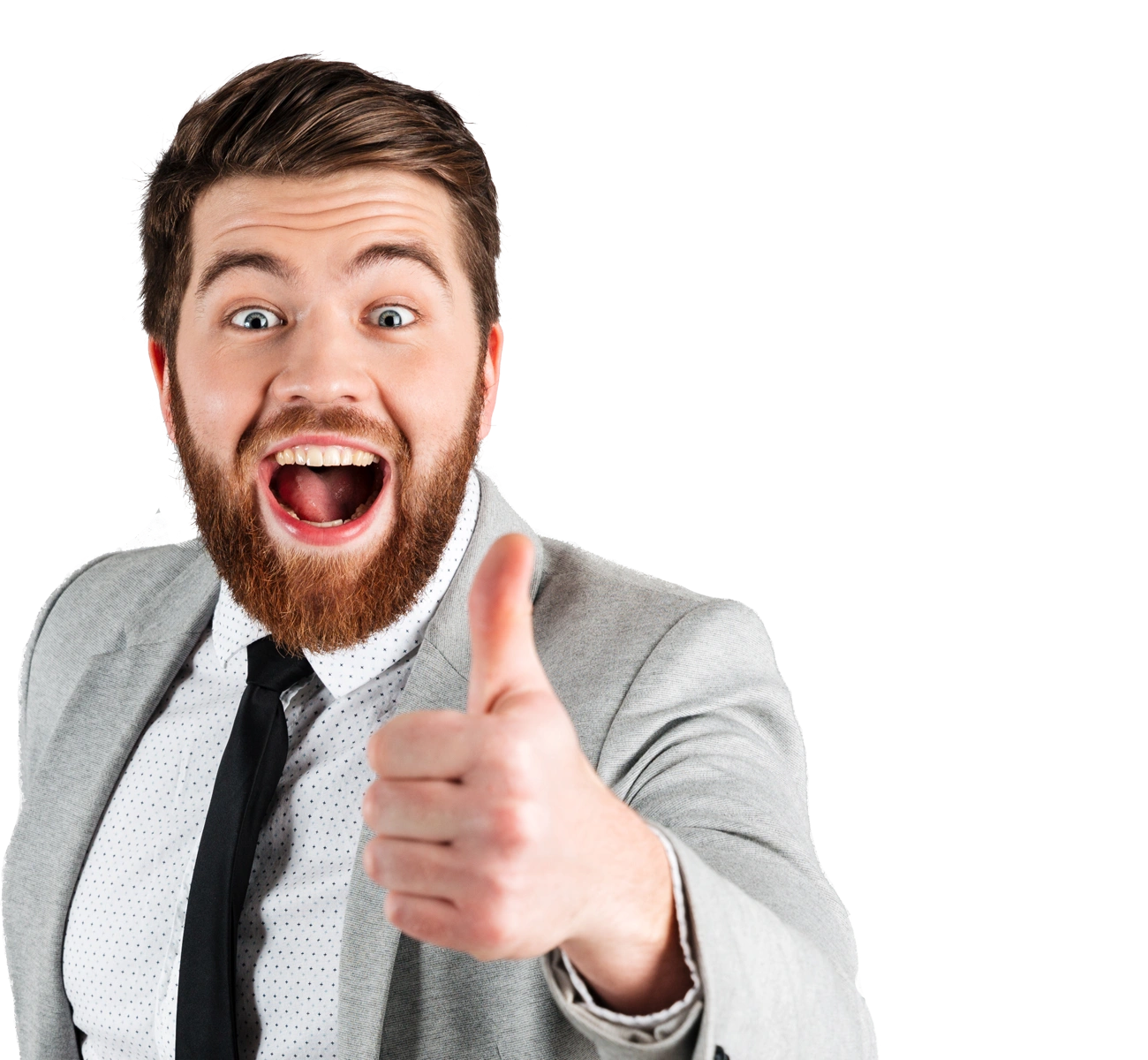 Mike’s Software House AI Tools Hub Team