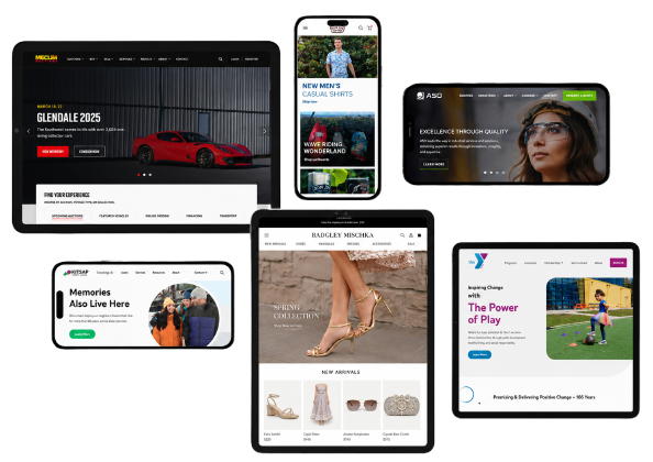 Custom website, software, POS system and AI business solutions developed by Mikes Software House